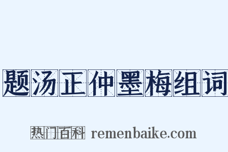 题汤正仲墨梅组词是什么意思的图片